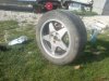 Copy of DSC0005245.JPG