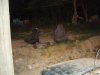 DSC08683.JPG