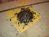 DSC08711.JPG