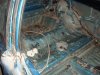 DSC08758.JPG