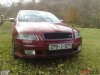 slika-5825-2010-11-1289298435-velika.jpg