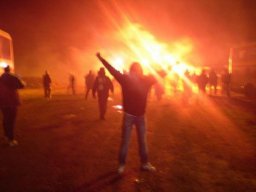 jelle