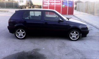 Doberman16