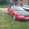 admir81